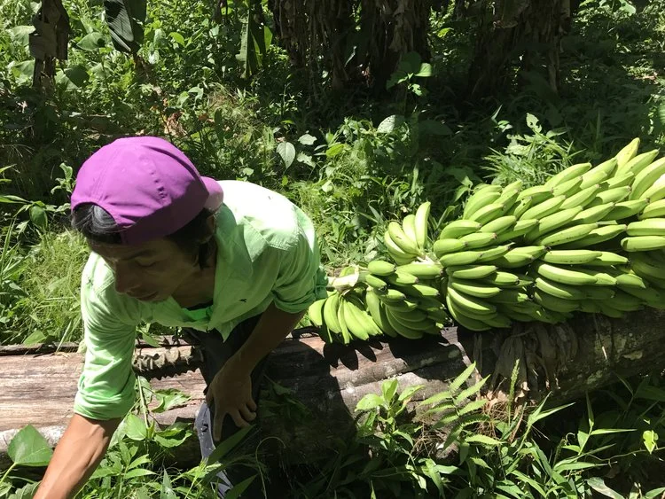 bananas.jpeg