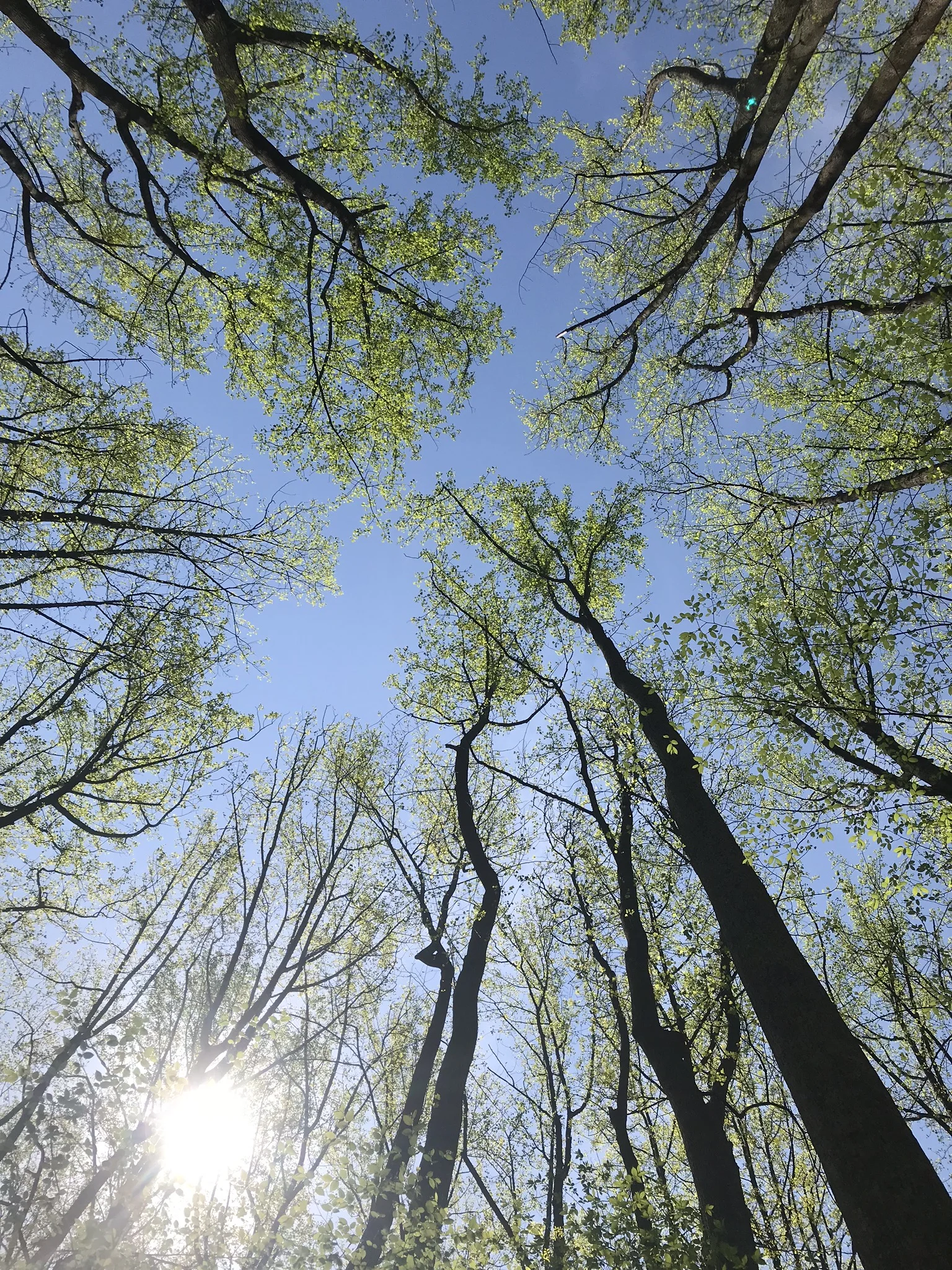 The Importance of Kindness - Maine Coast Waldorf School