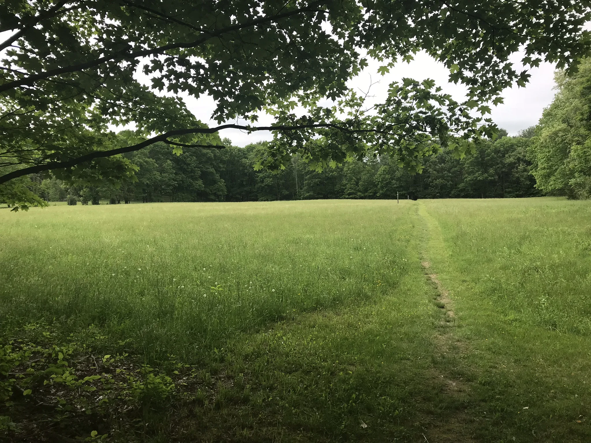 National Charity League - The Importance of Kindness 