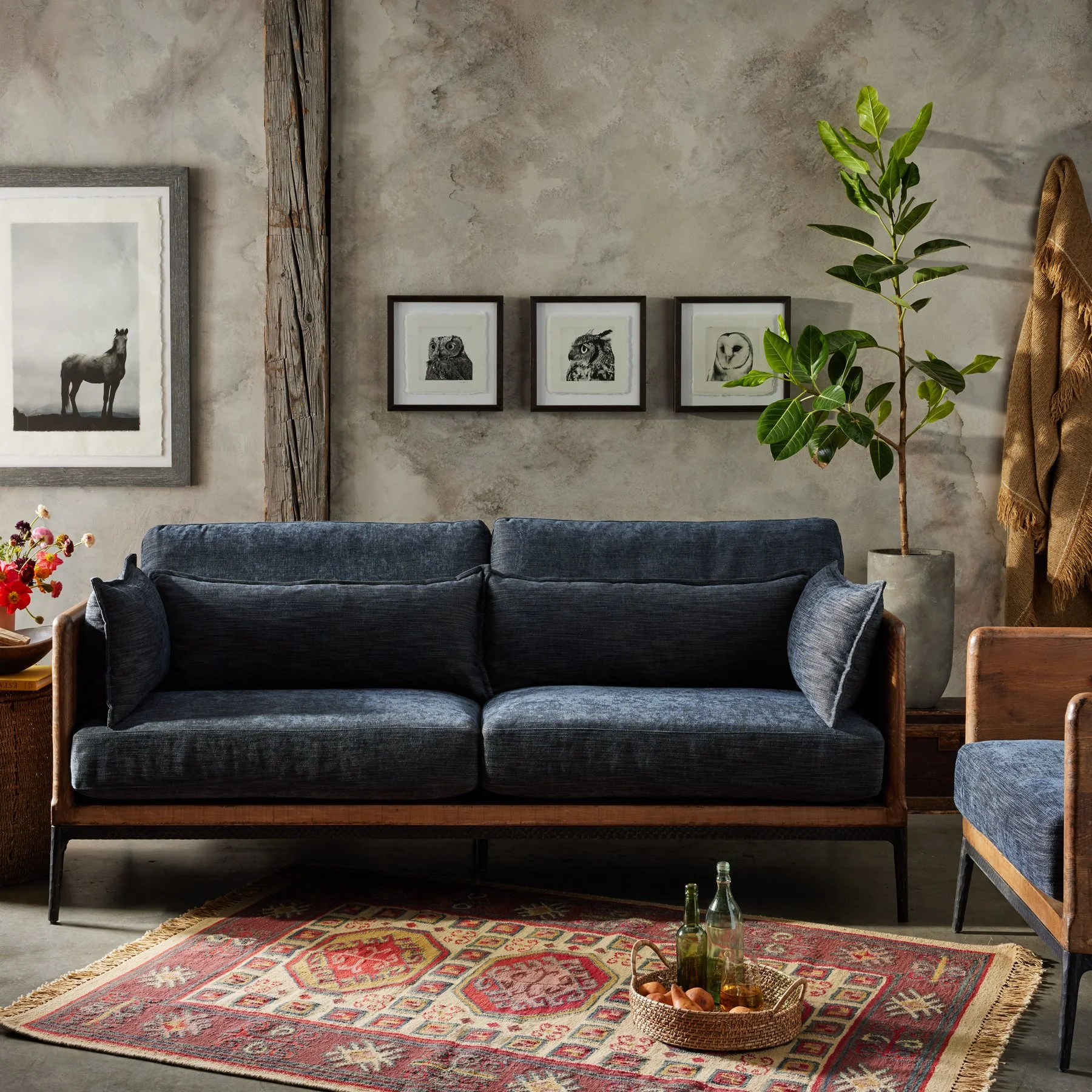 A cozy living room with a black velvet sofa, a patterned rug, potted plant, wall art featuring animal illustrations, and decorative items.