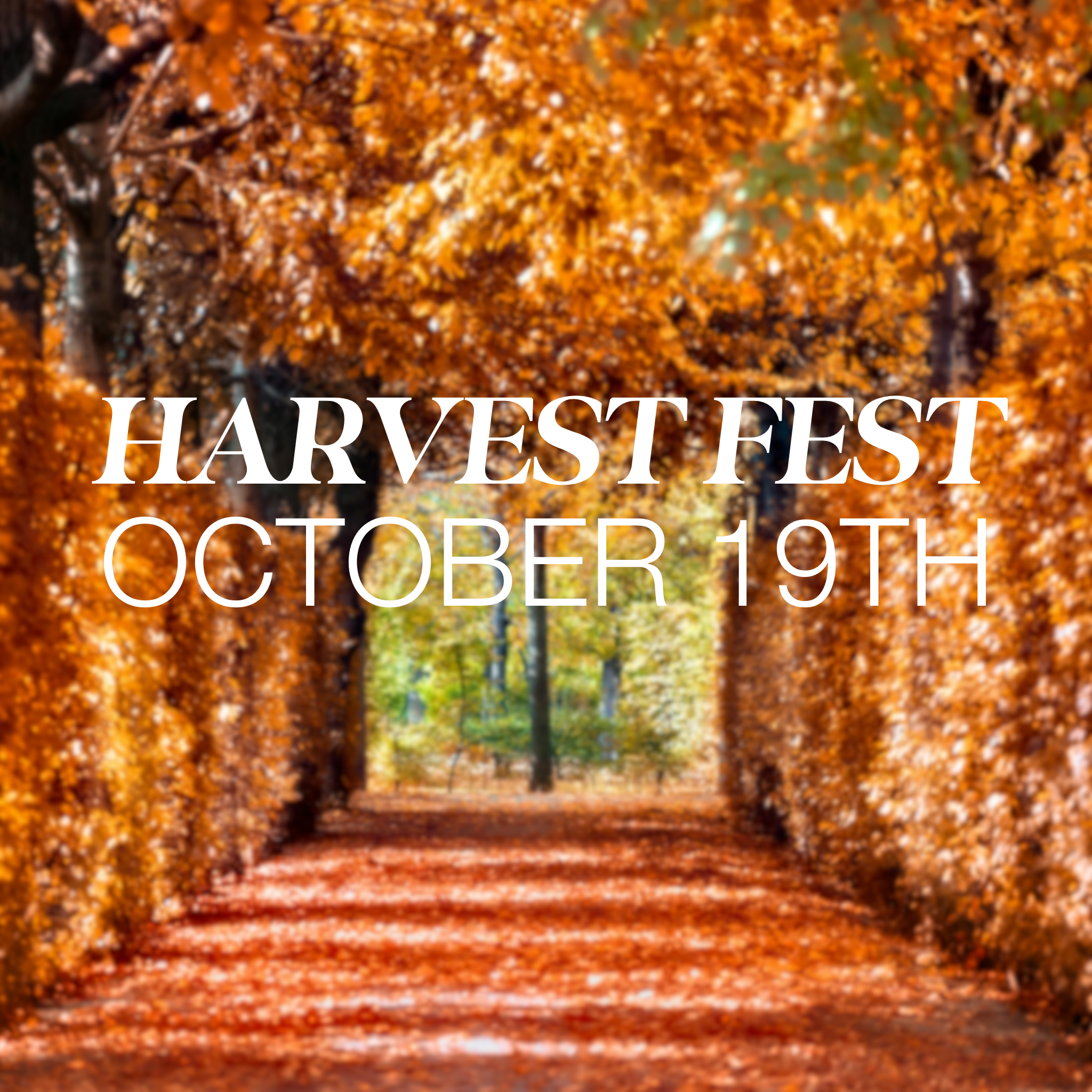 Harvest Fest