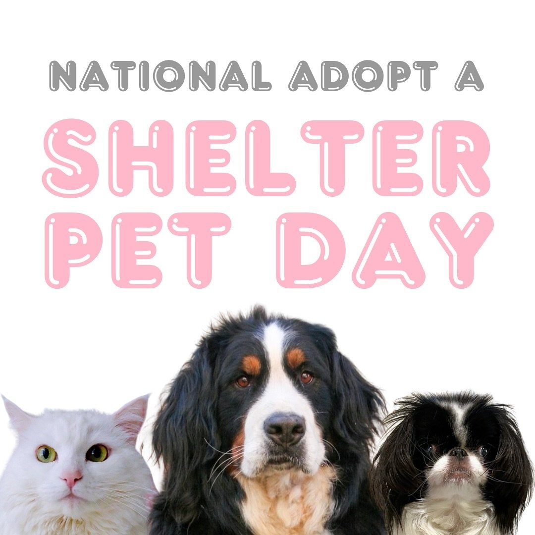 Happy National Adopt A Shelter Pet Day! You can help support pets by adopting from a local shelter or by making a donation to your favorite shelter.