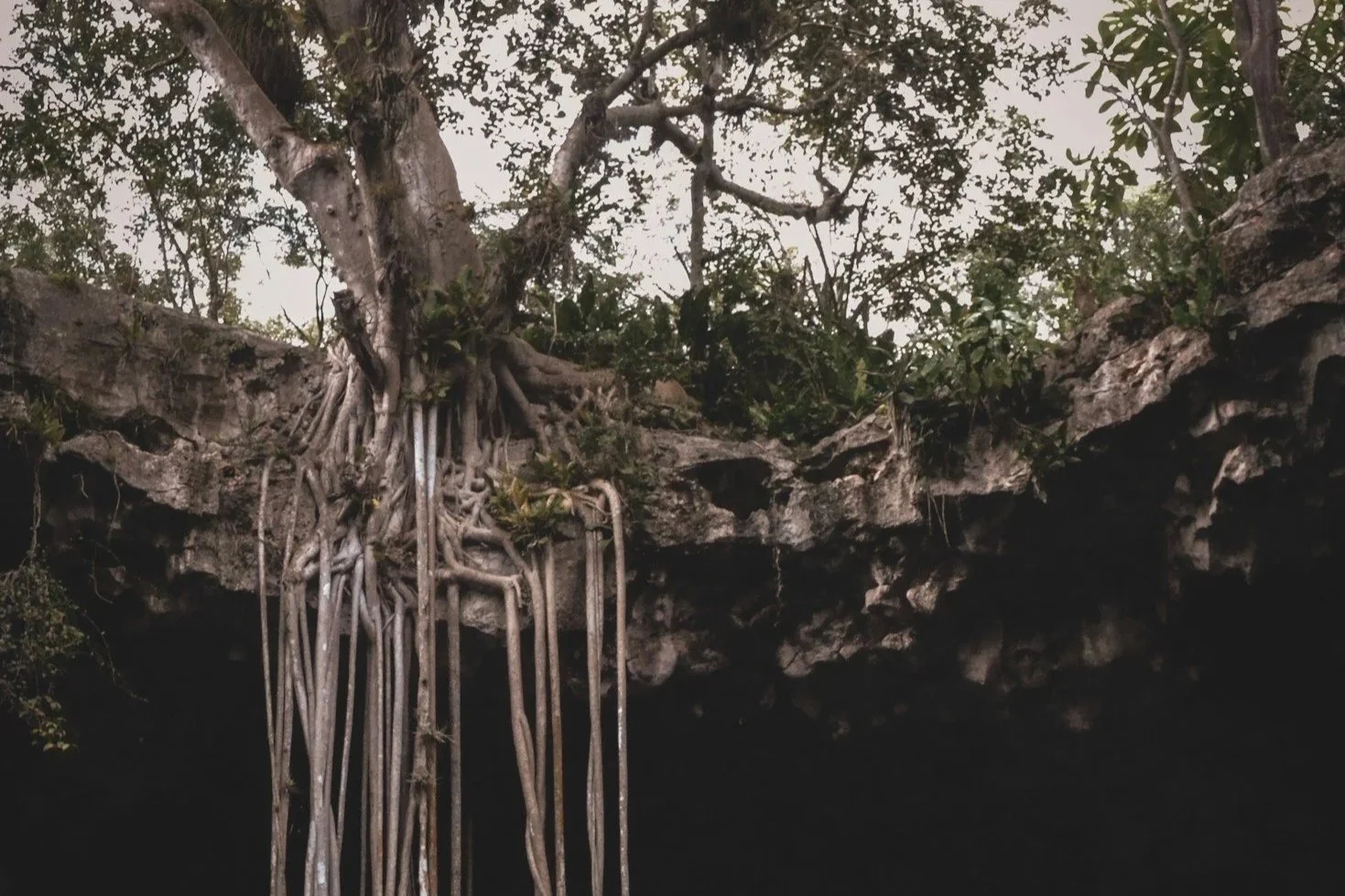 unsplash-image-KFUgbW4mBJo.jpg
