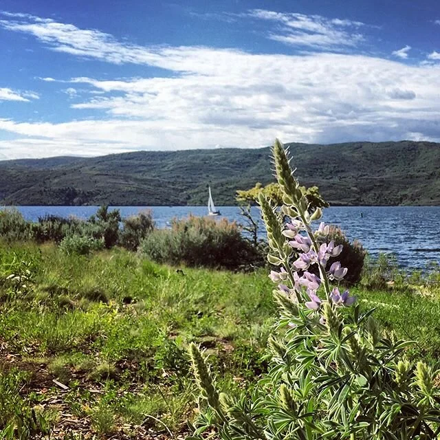 It&rsquo;s a 10 out of 10 day at the J today. Happy Friday everyone, it&rsquo;s time go sailing! These Access members off in the distance are getting the goods right now. #SailPC #ParkCitySailing #iSailPC 📸 : @scottyvermerris
.
.
#sailing #fun #sail