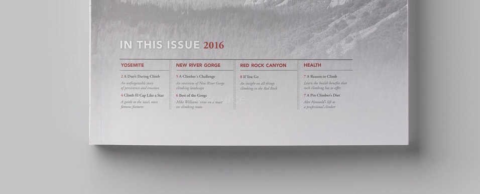 publication_mockup_040317.jpg