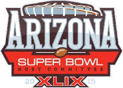 Super Bowl Accessory Required - One Team, One Dream......