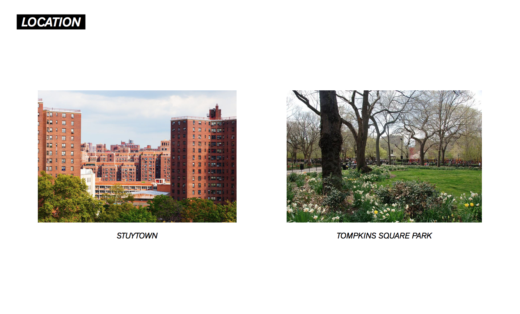 Screen Shot 2019-07-11 at 1.33.23 PM.png