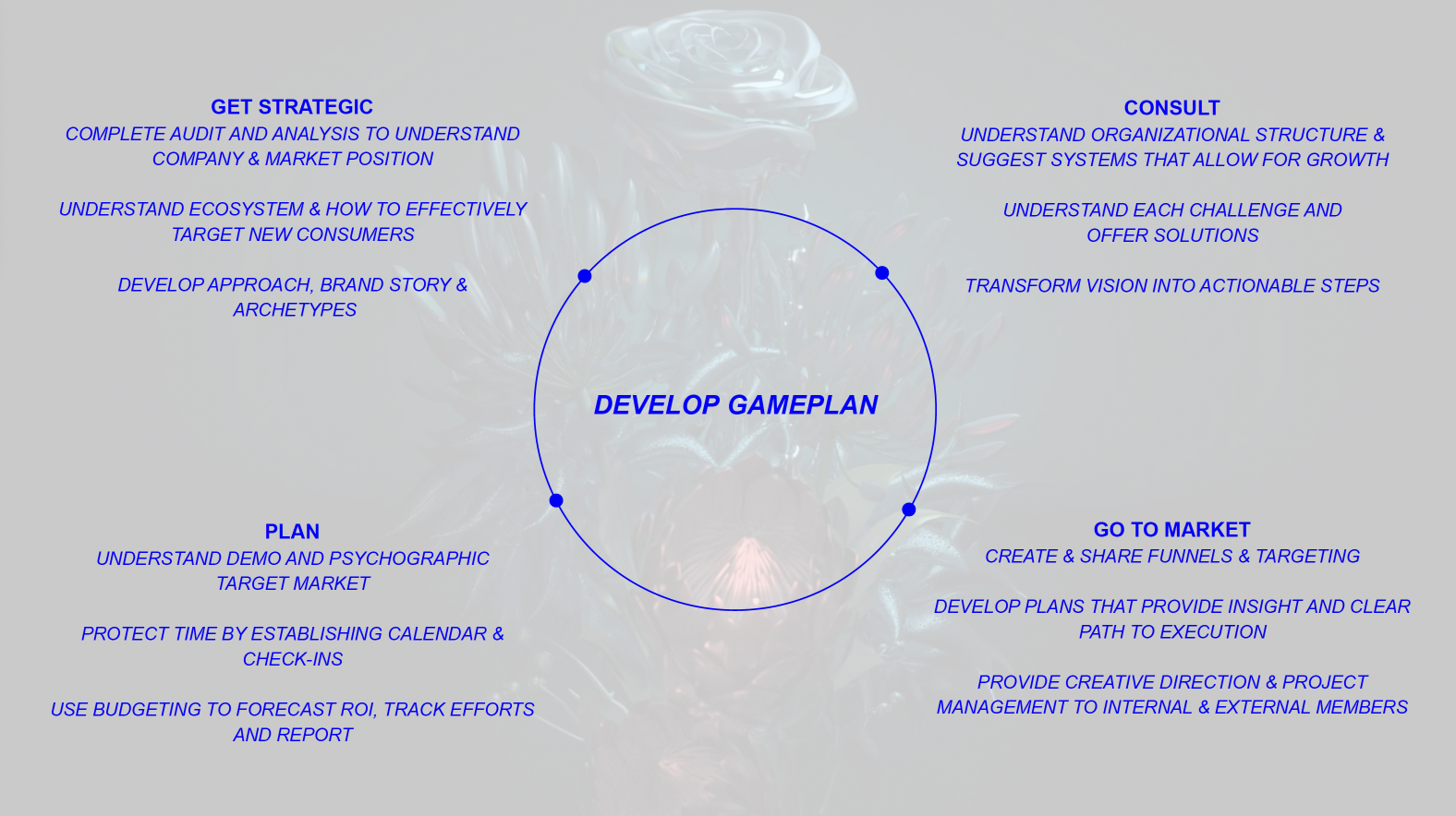 Screenshot 2024-02-25 at 8.18.02 PM.png