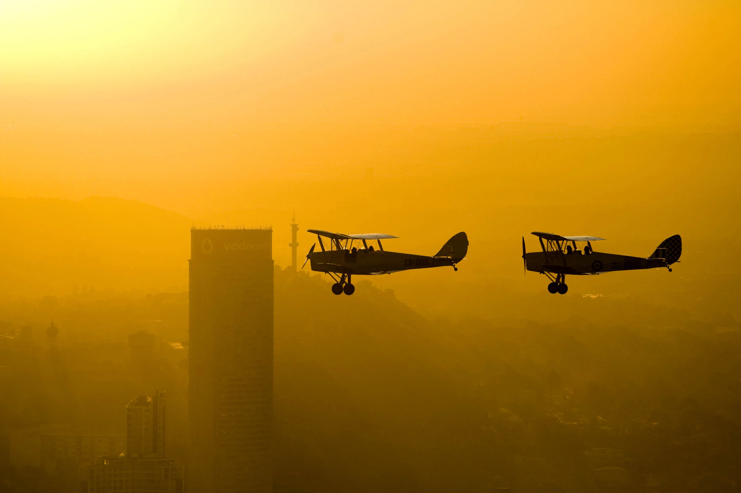  Feature on Tiger Moths&nbsp; 
