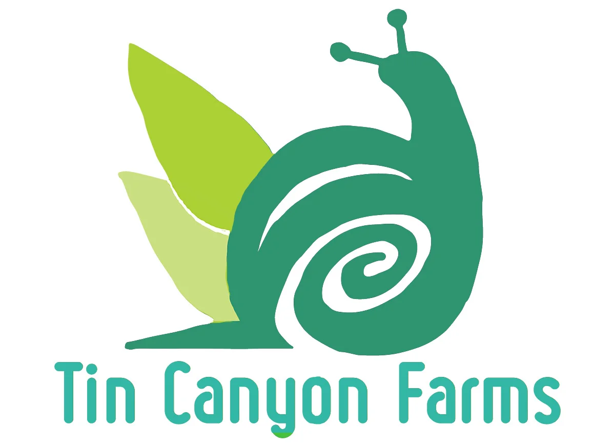 Client requested a " Child Like, Clean", logo in these 4 colors while showing a snail