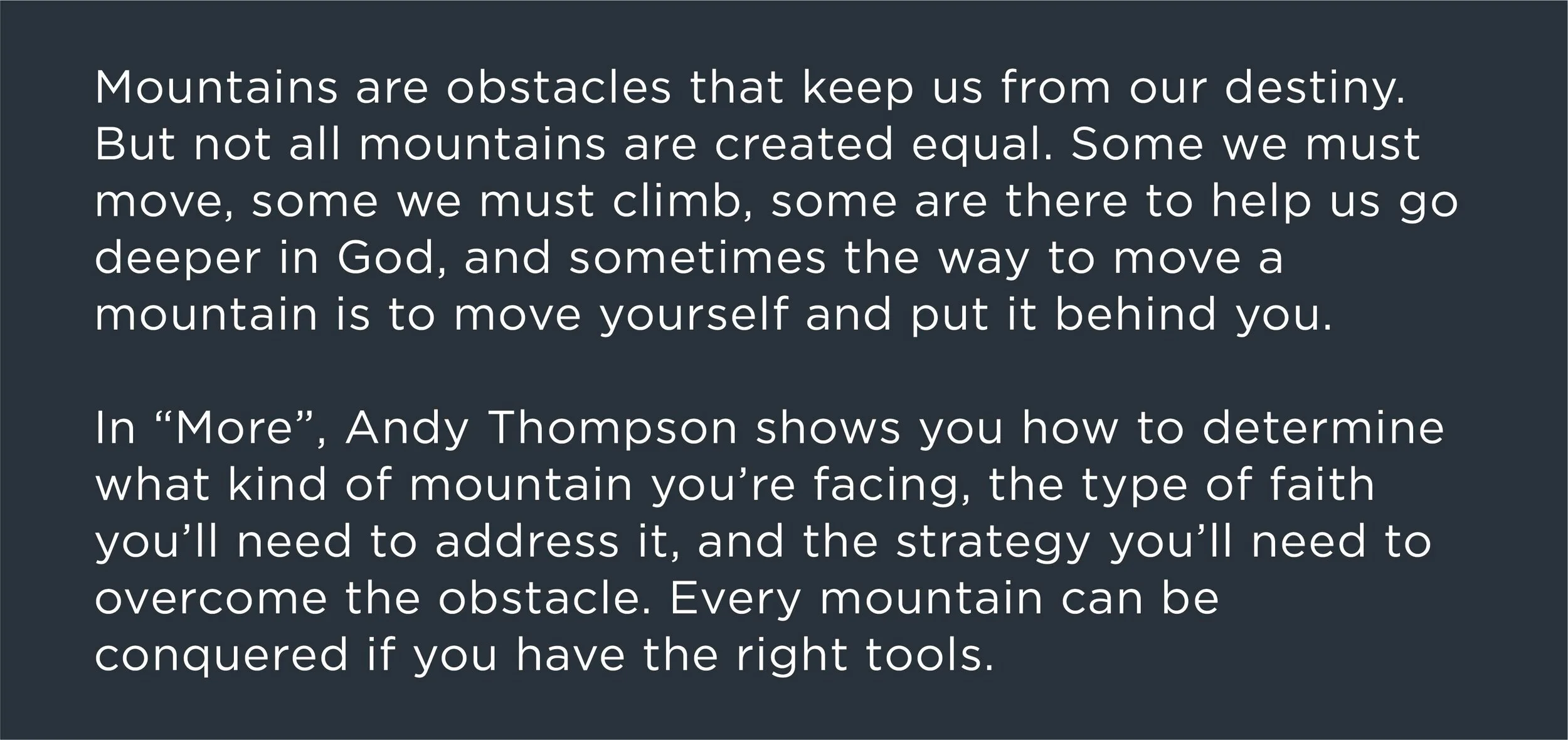 MORE-Book_BLURB.jpg