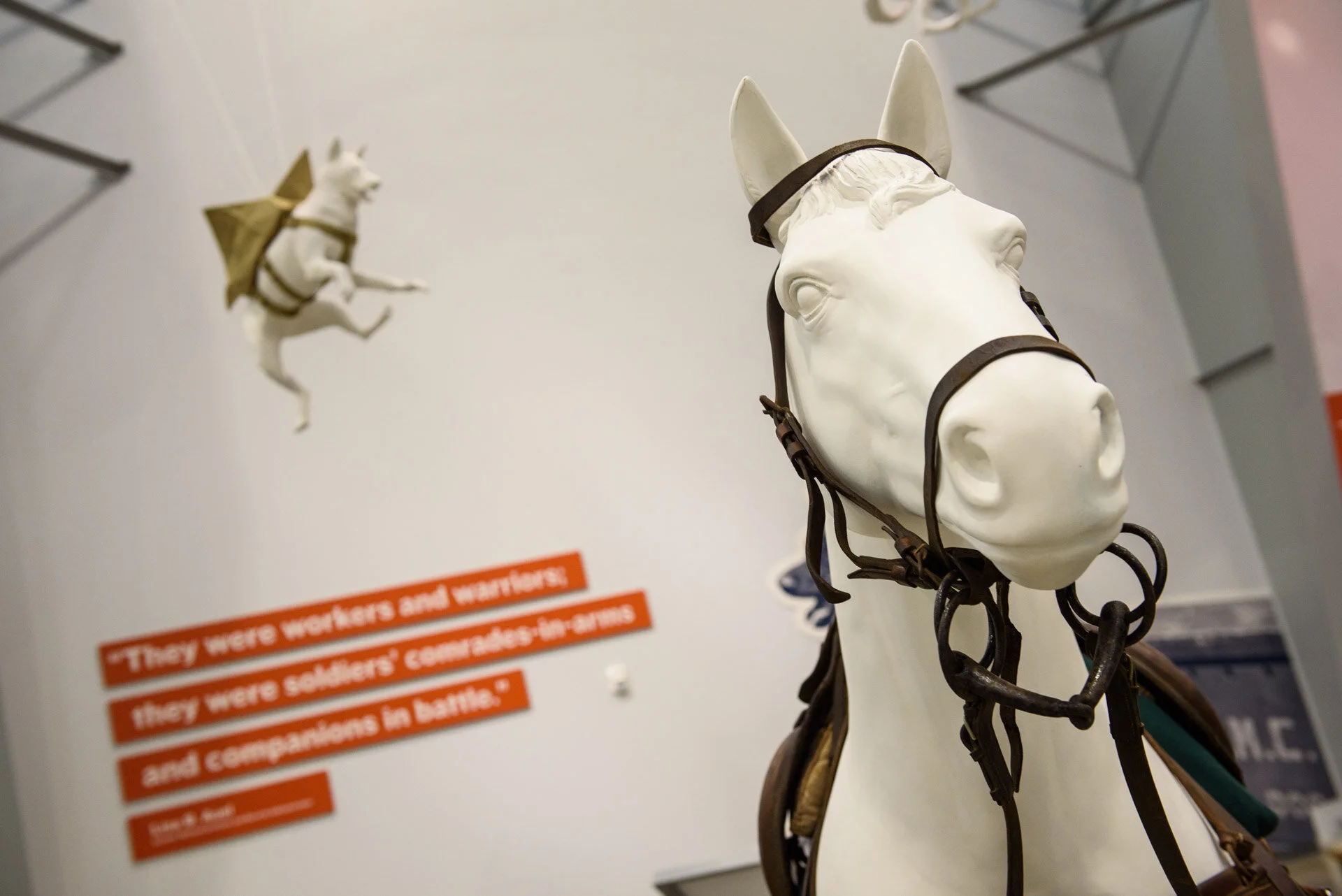 Animals_In_War_Opening_Web-0486.jpg
