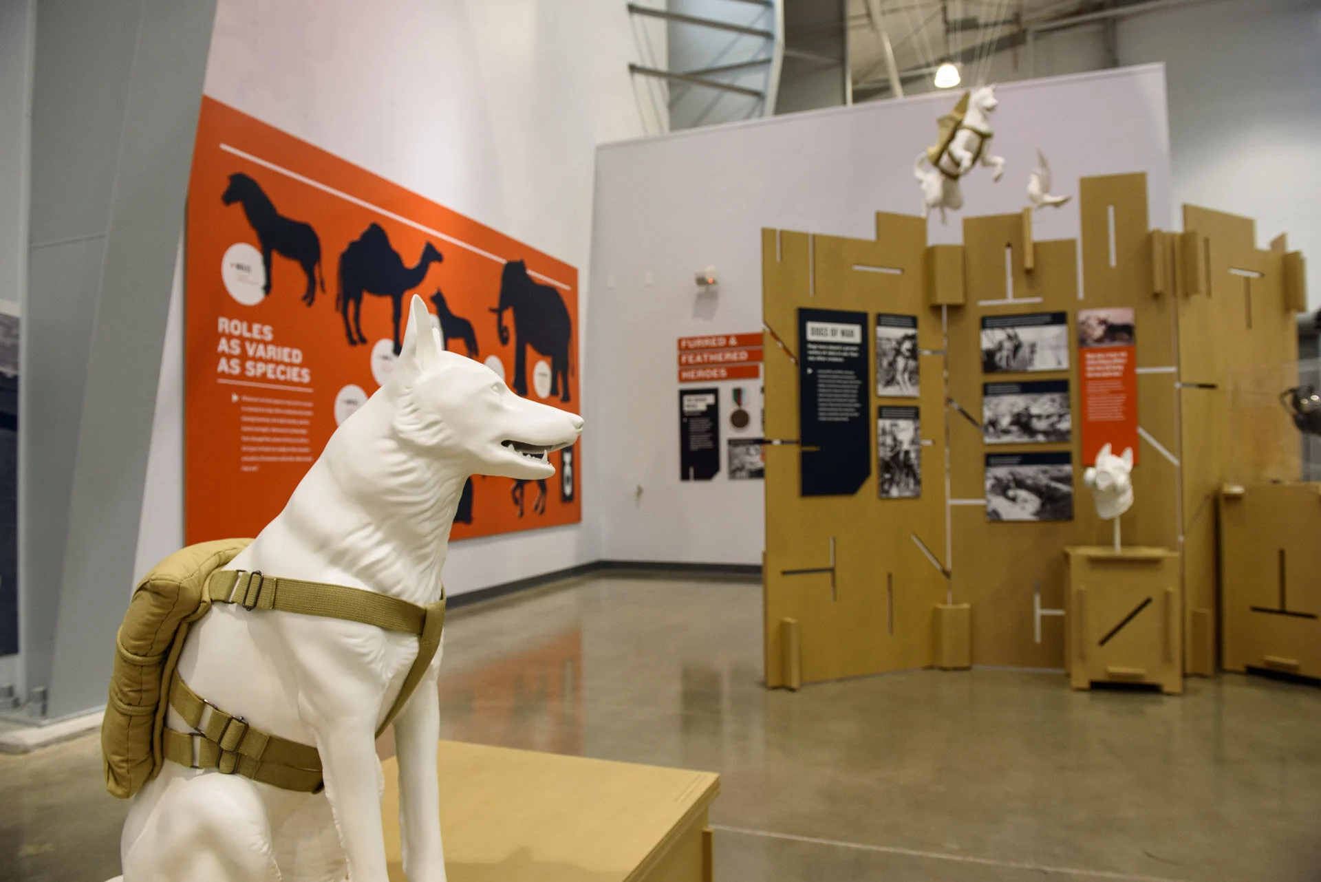 Animals_In_War_Opening_Web-0497.jpg