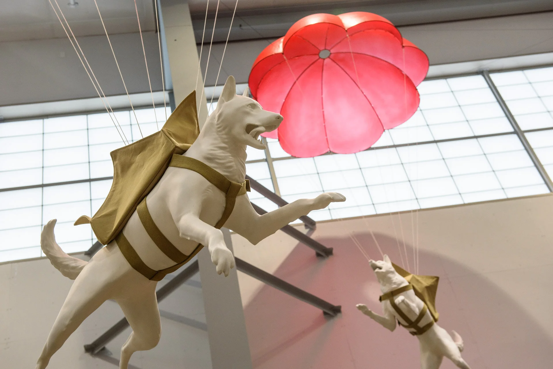 Animals_In_War_Opening_Web-0511.jpg
