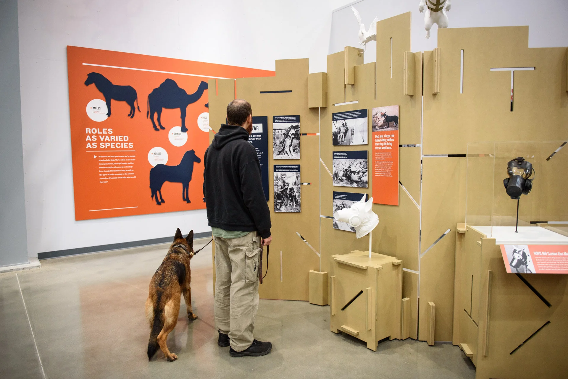 Animals_In_War_Opening_Web-0845.jpg