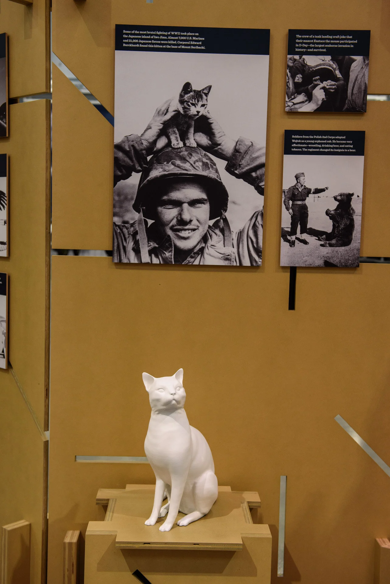 Animals_In_War_Opening_Web-0501.jpg