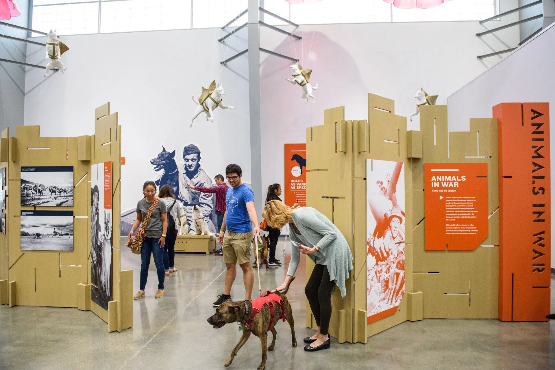 Animals_In_War_Opening_Web-0865.jpg