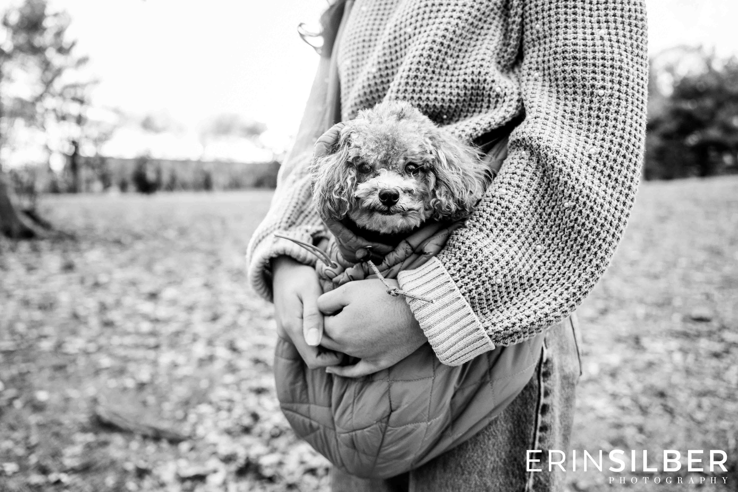 2025Aug_ESP_Family-Portraits_Prospect-Park-11.jpg