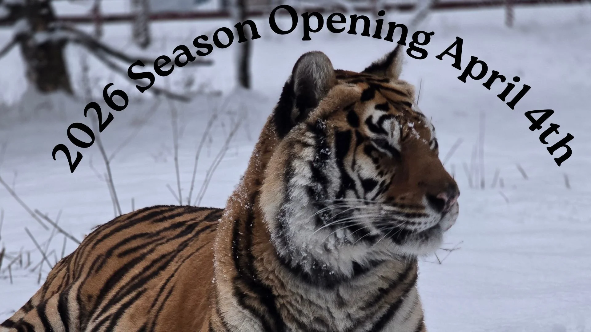 Bailiwick Animal Park Season Opening - A New Chapter Begins
