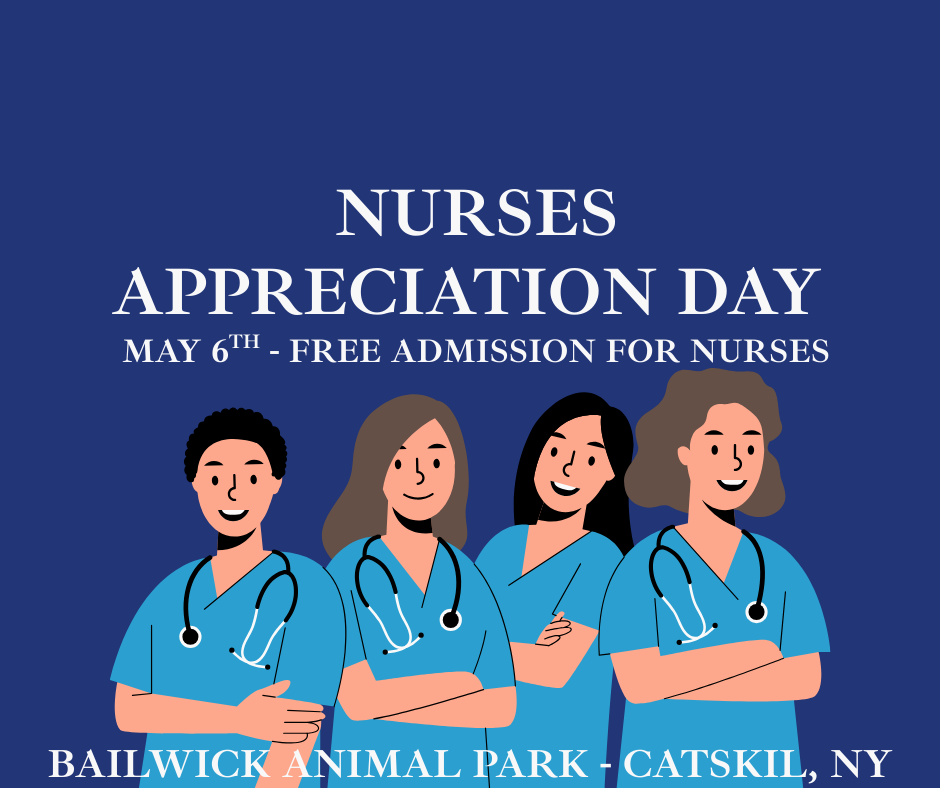 Nurses' Appreciation Day