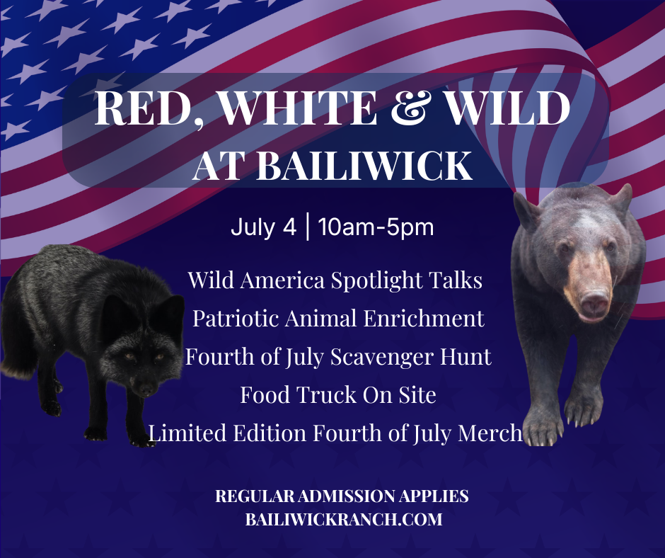 Red, White &amp; Wild 
