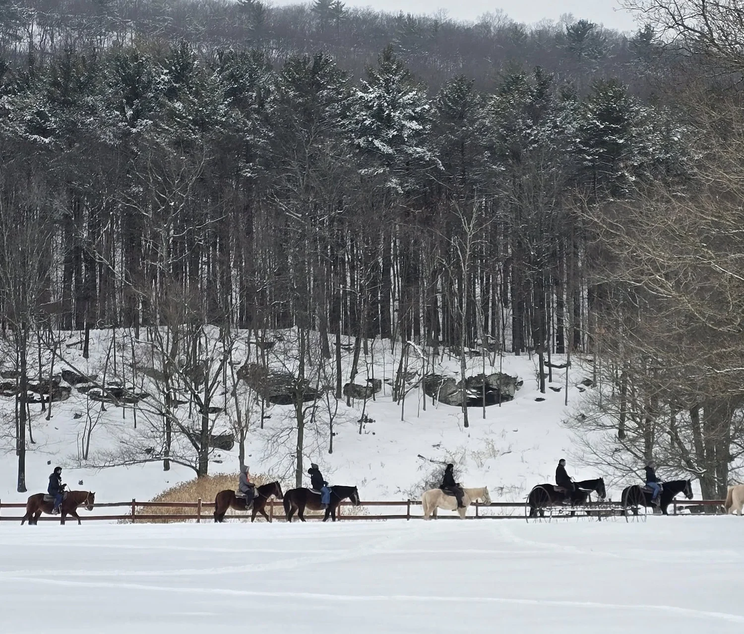Bailiwick Animal Park & Riding Stables