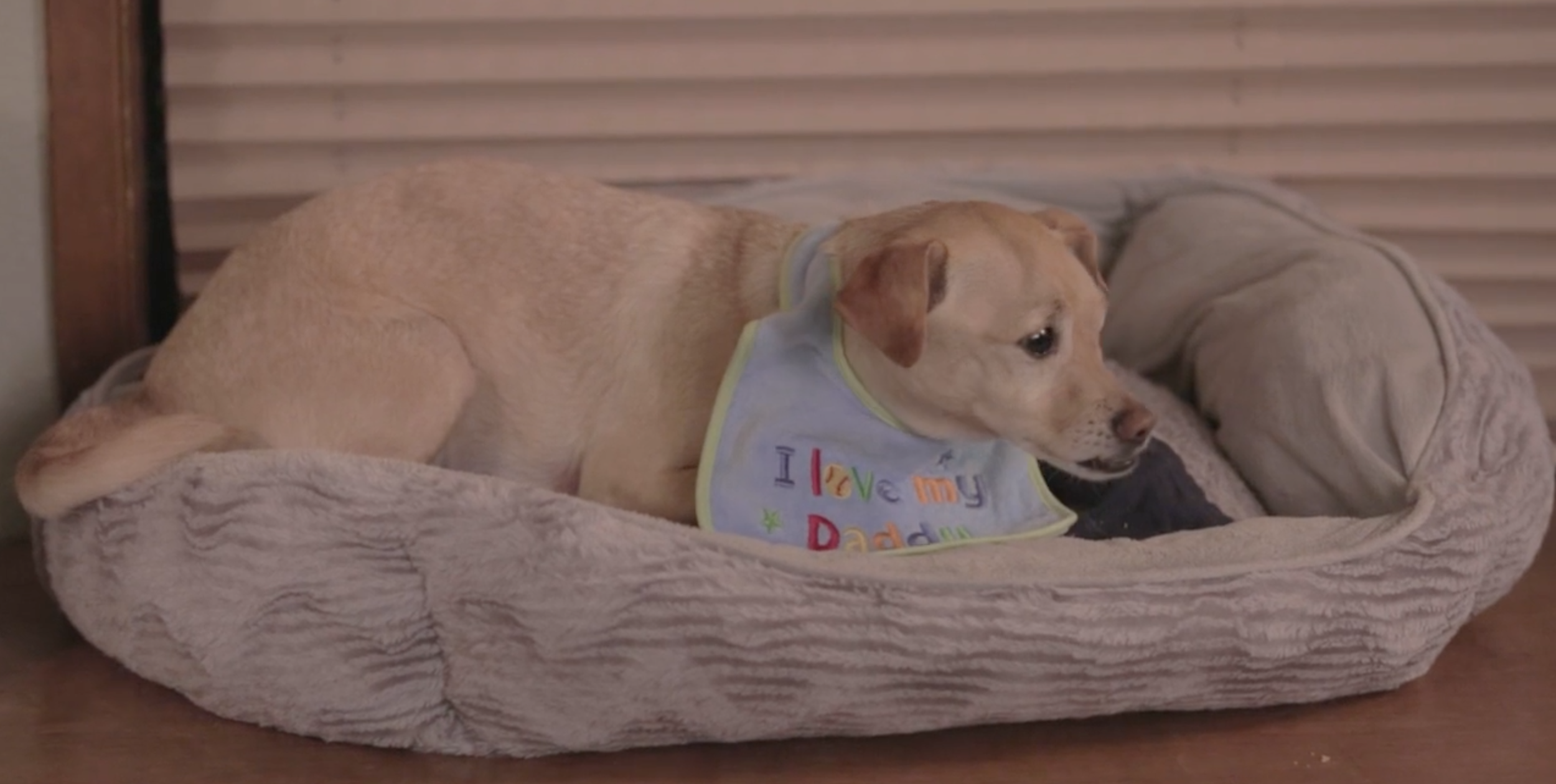 Screen Shot 2017-04-12 at 2.06.12 PM.png