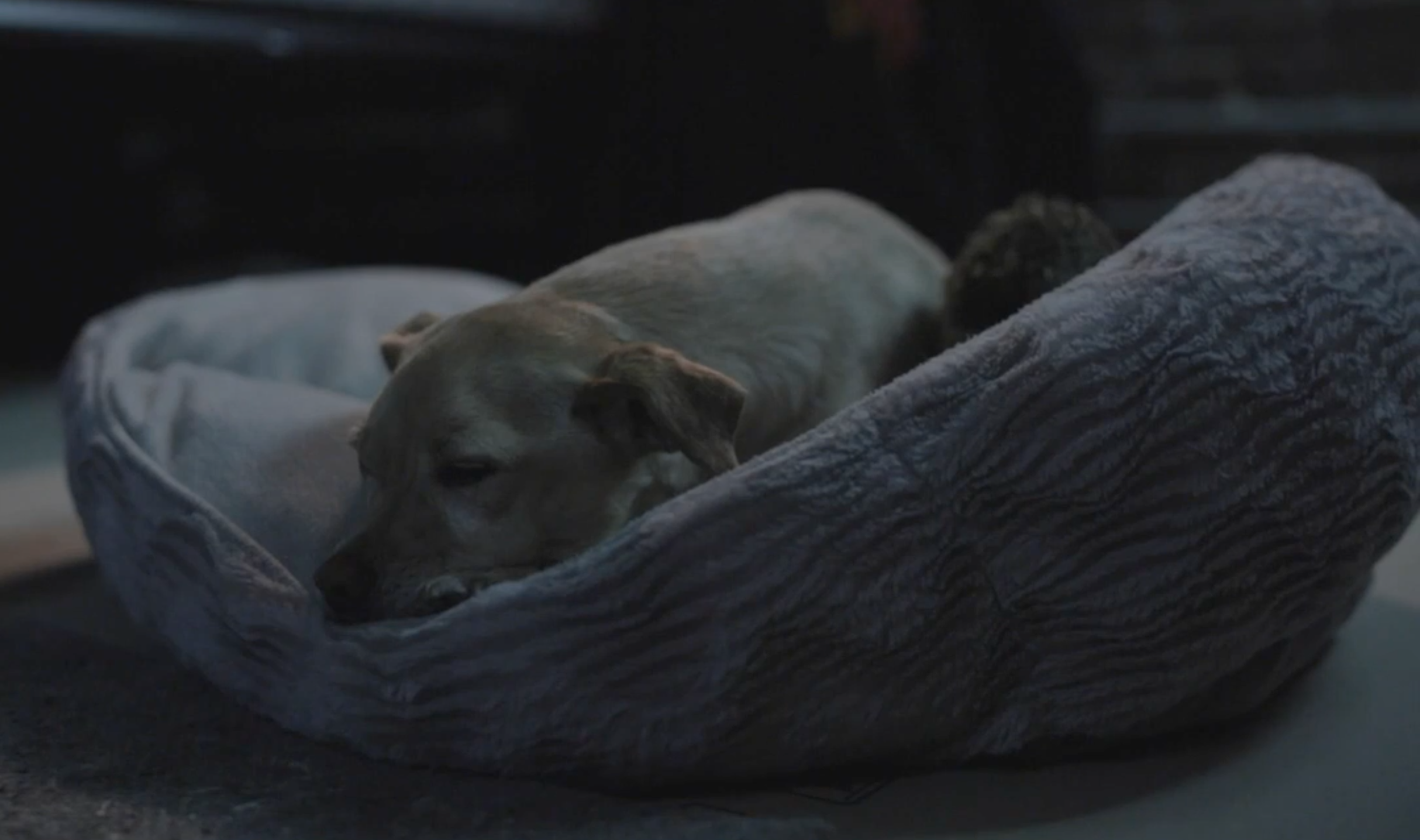 Screen Shot 2017-04-12 at 4.40.14 PM.png