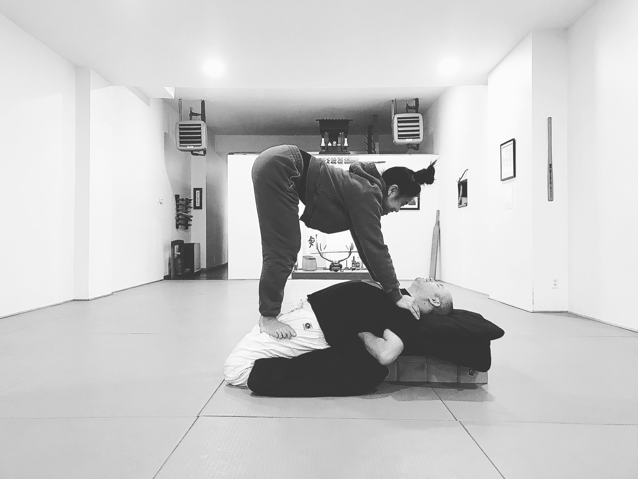 PDF of download of "Harmony in Action: Aikido as a Potential Alternative and Effective Method for Dance/Movement Therapists"