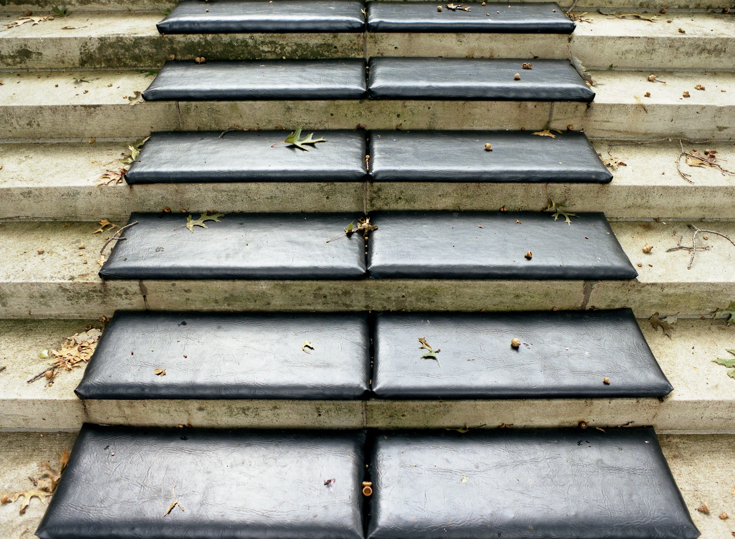 Shrine of the Little Flower 2.jpg