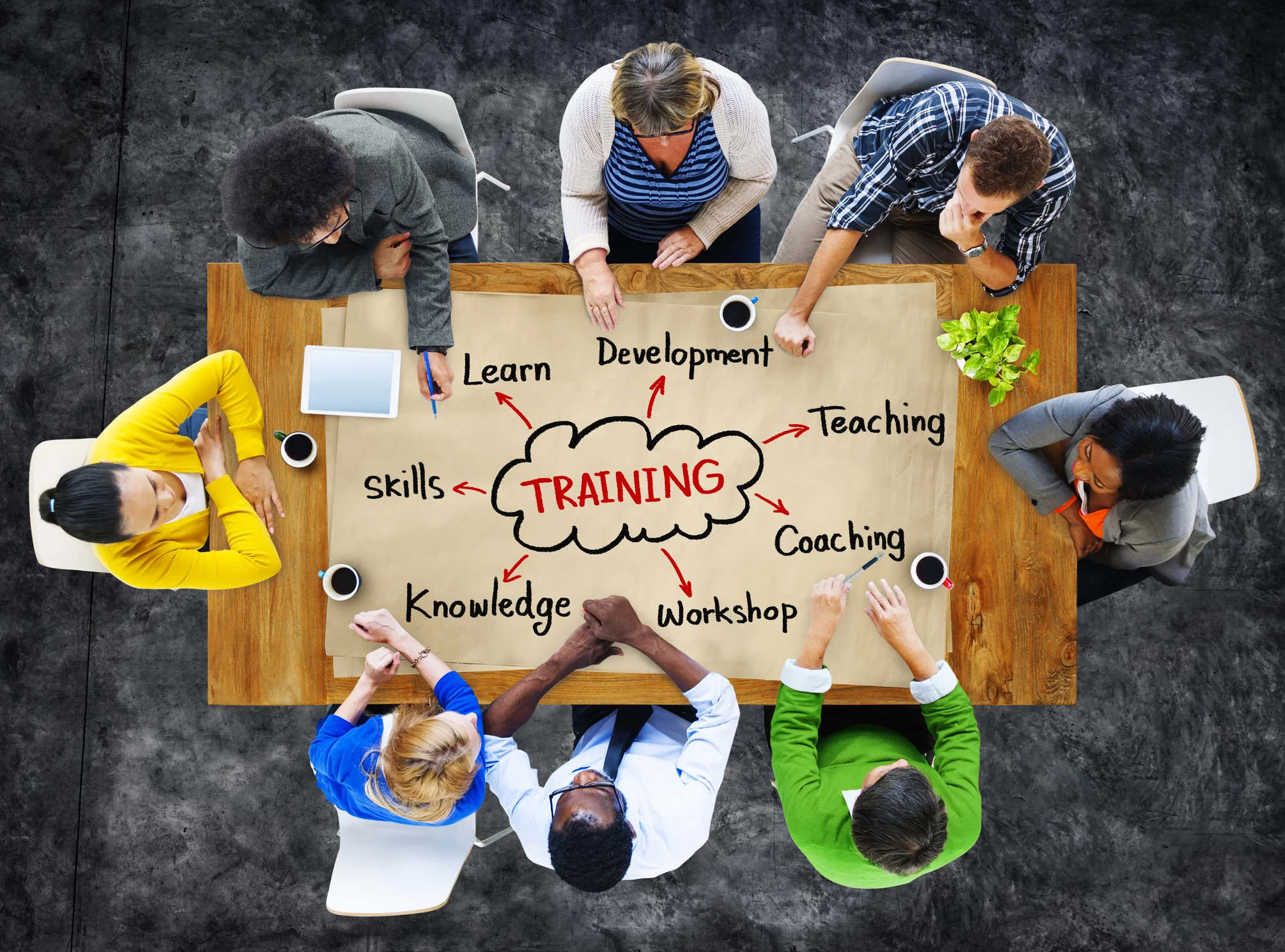 Employability Workshops