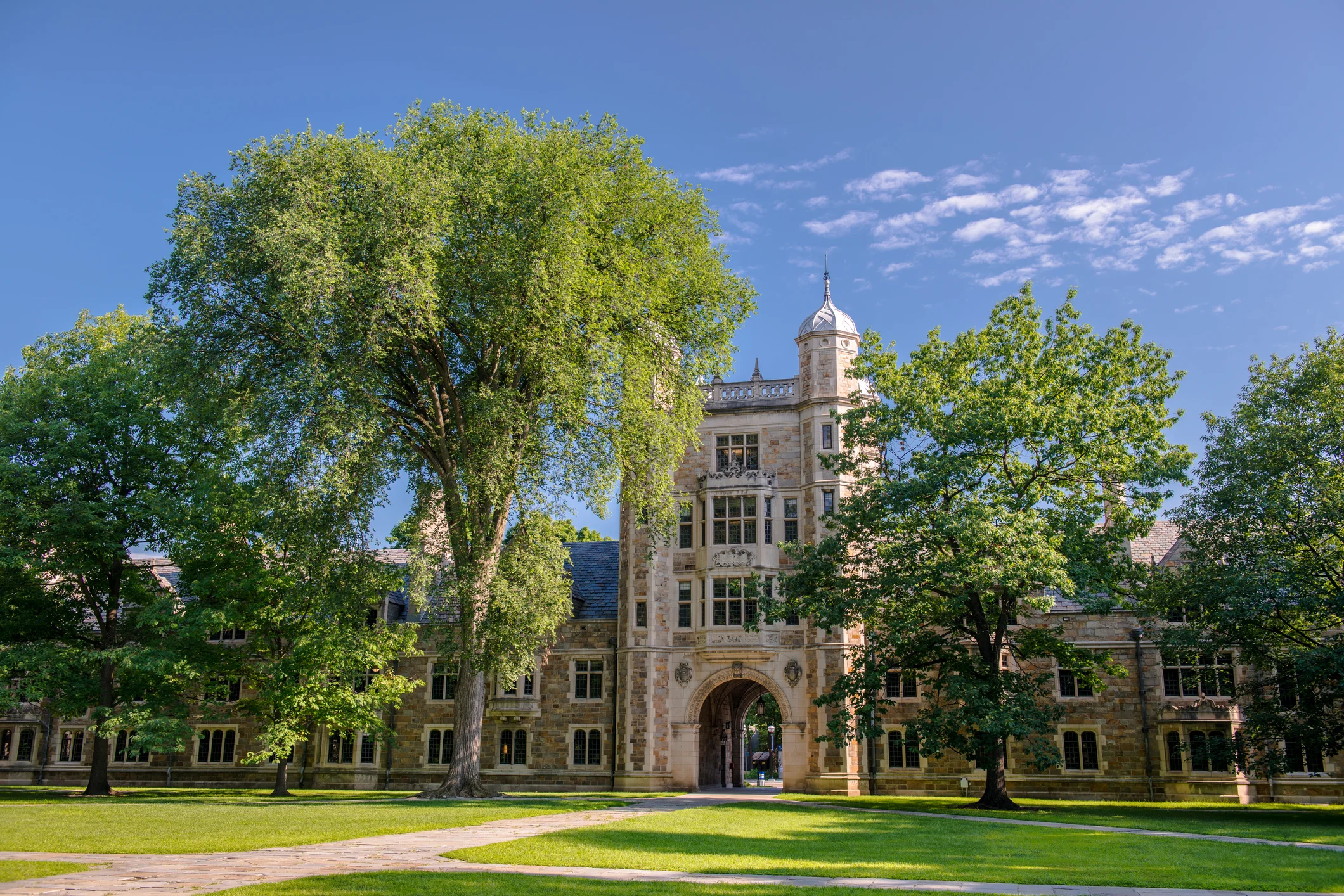 Further Studies & Study Abroad Consulting