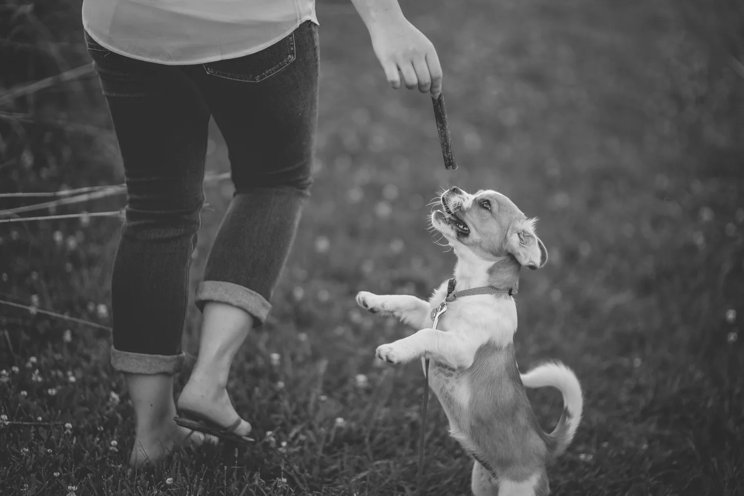 madison wisconsin engagement session-12.jpg