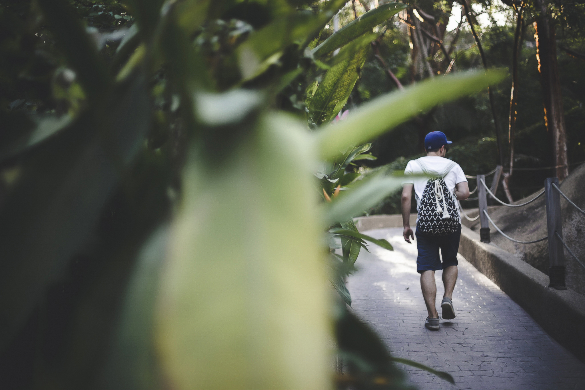 Sayulita Mexico Destination Wedding Photographer-6.jpg