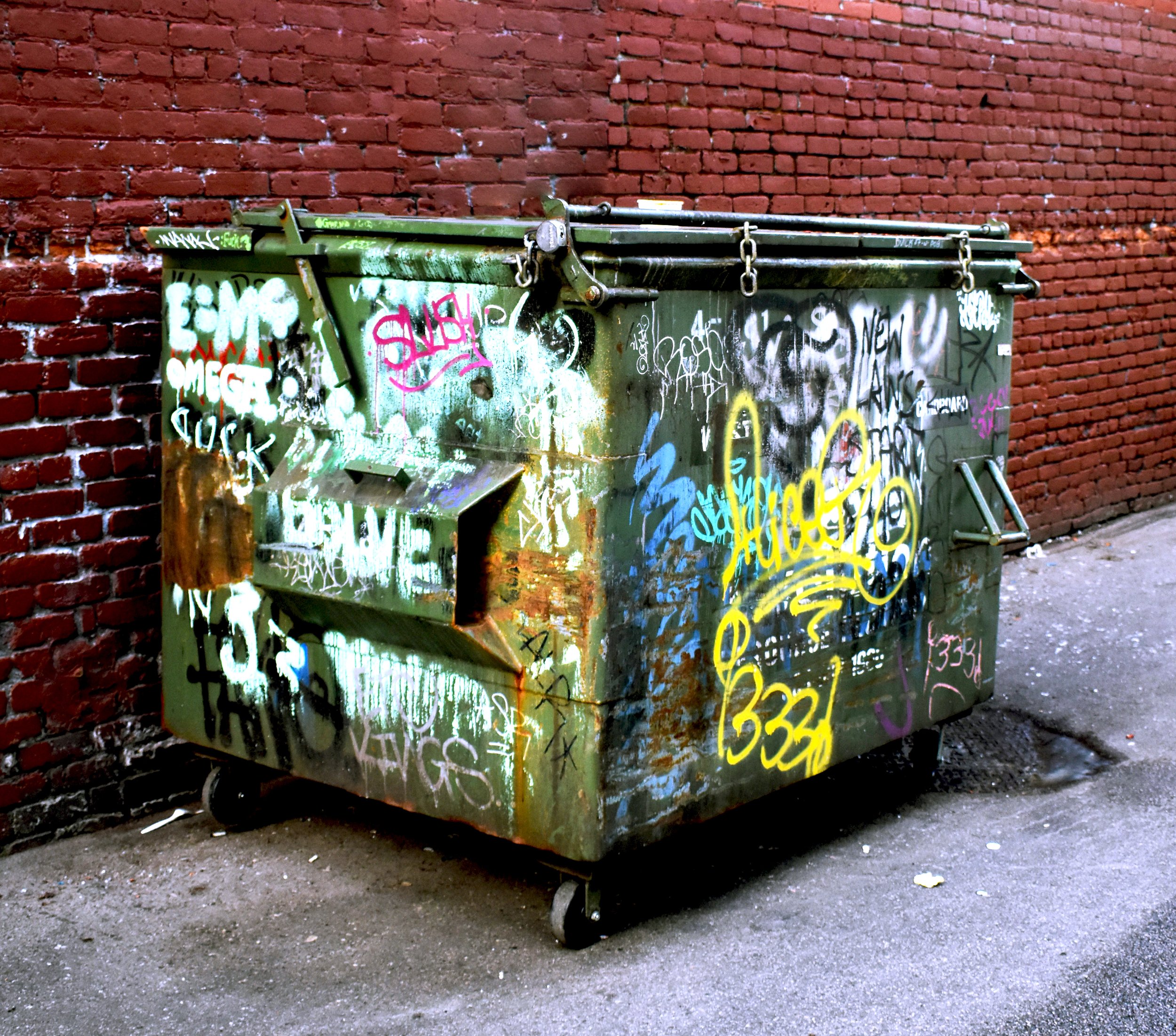 dumpster2.jpg