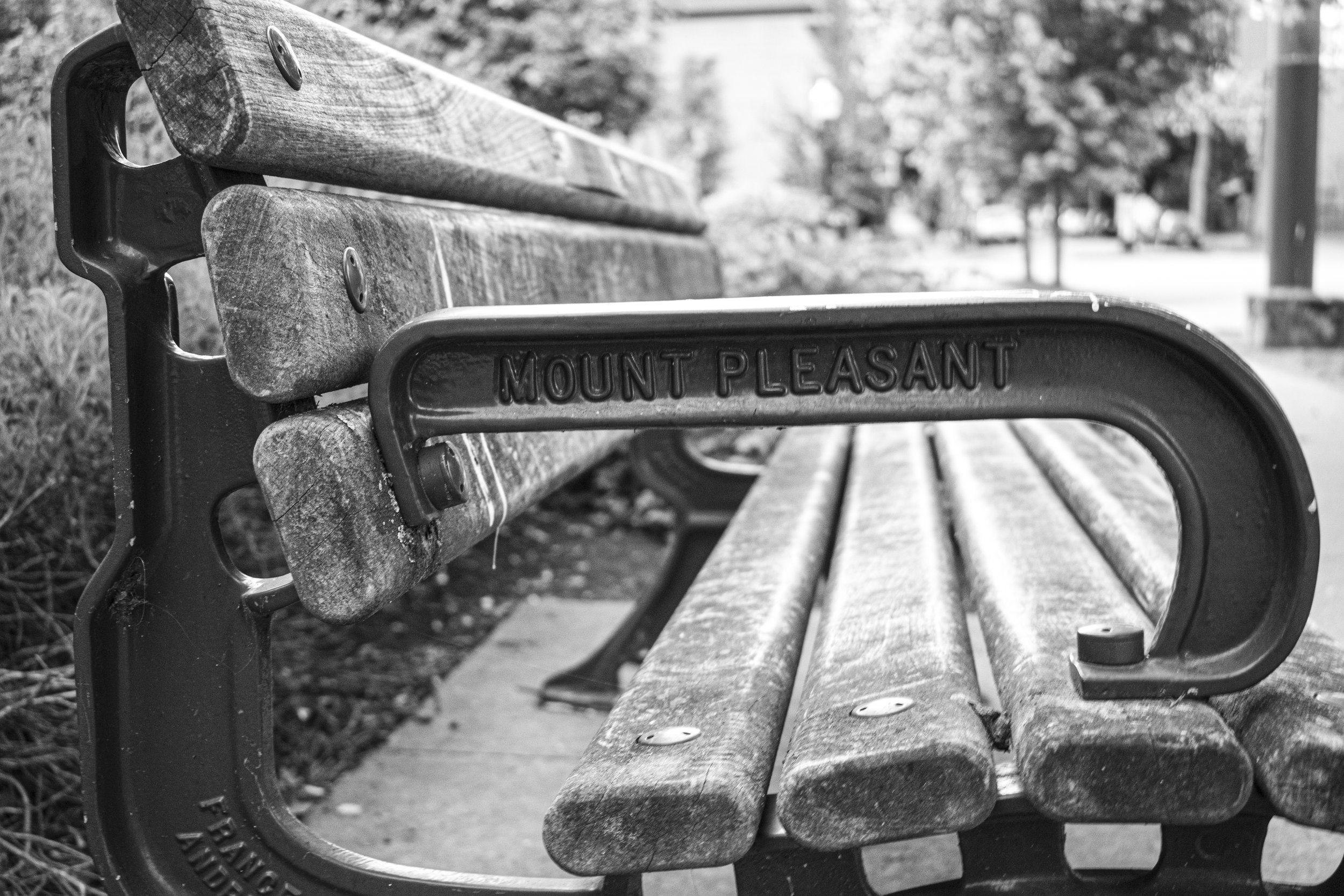 bench-mountPleasant.jpg