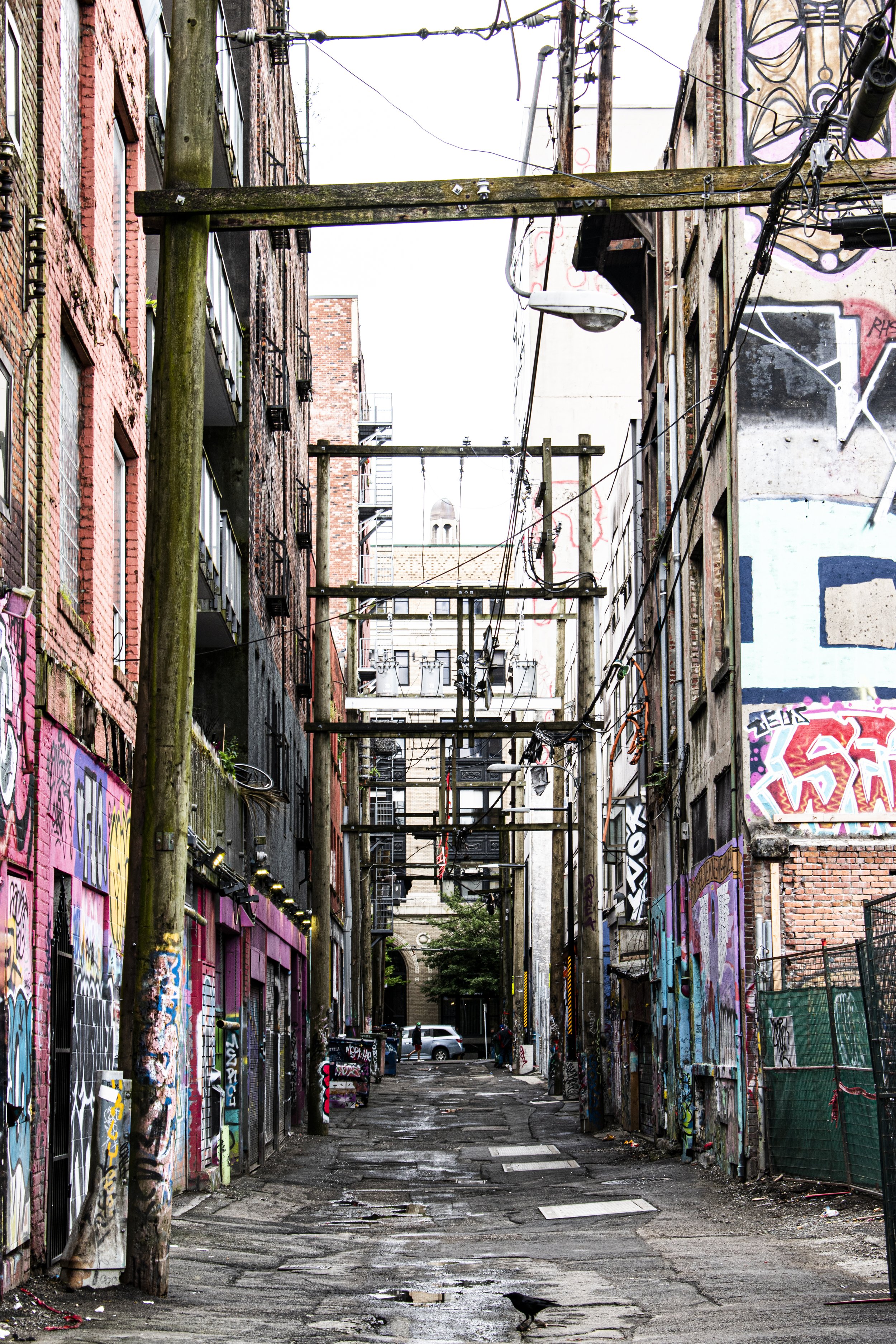 dtes-alley-colour.jpg