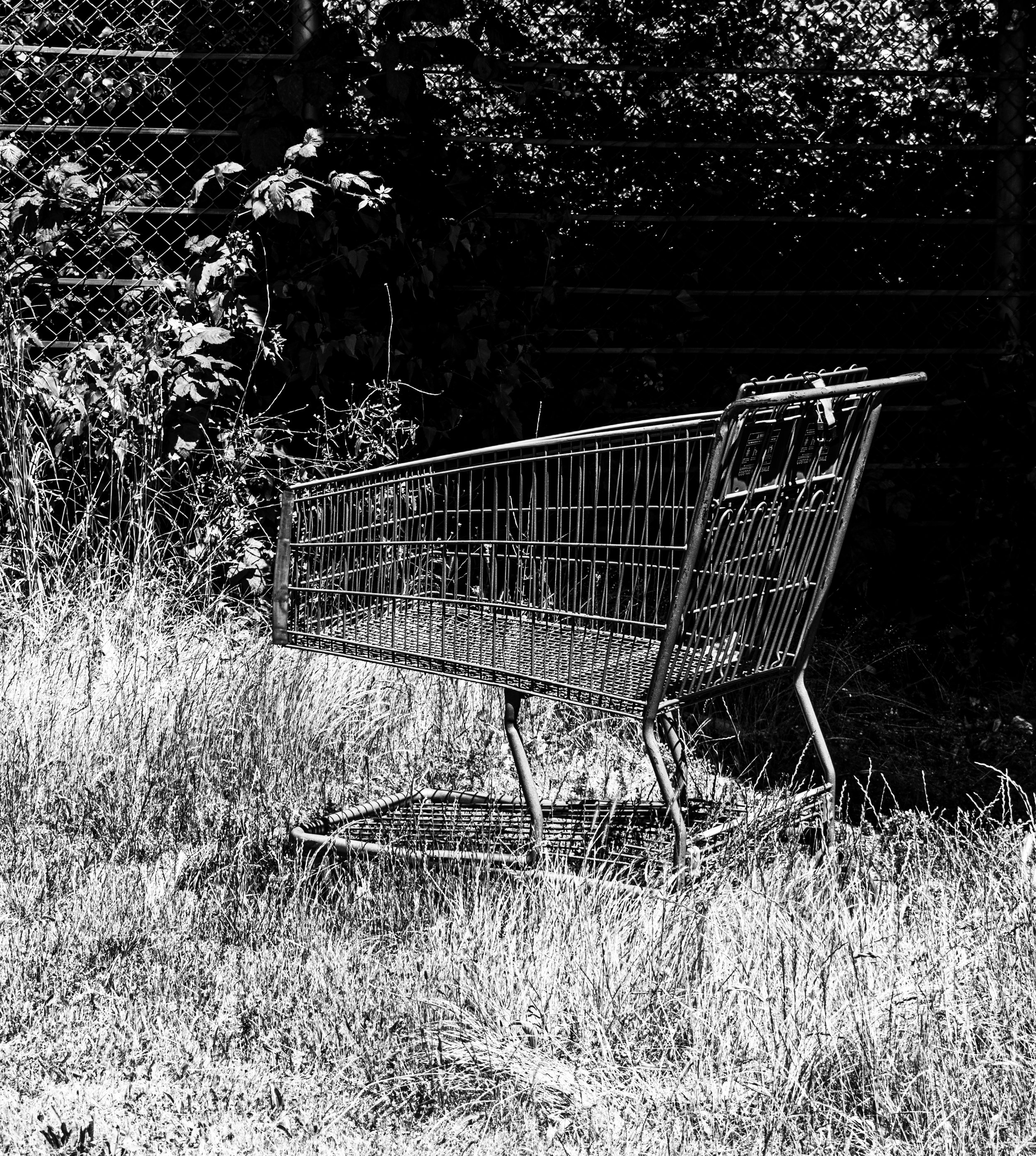 shopping cart-bnw.jpg