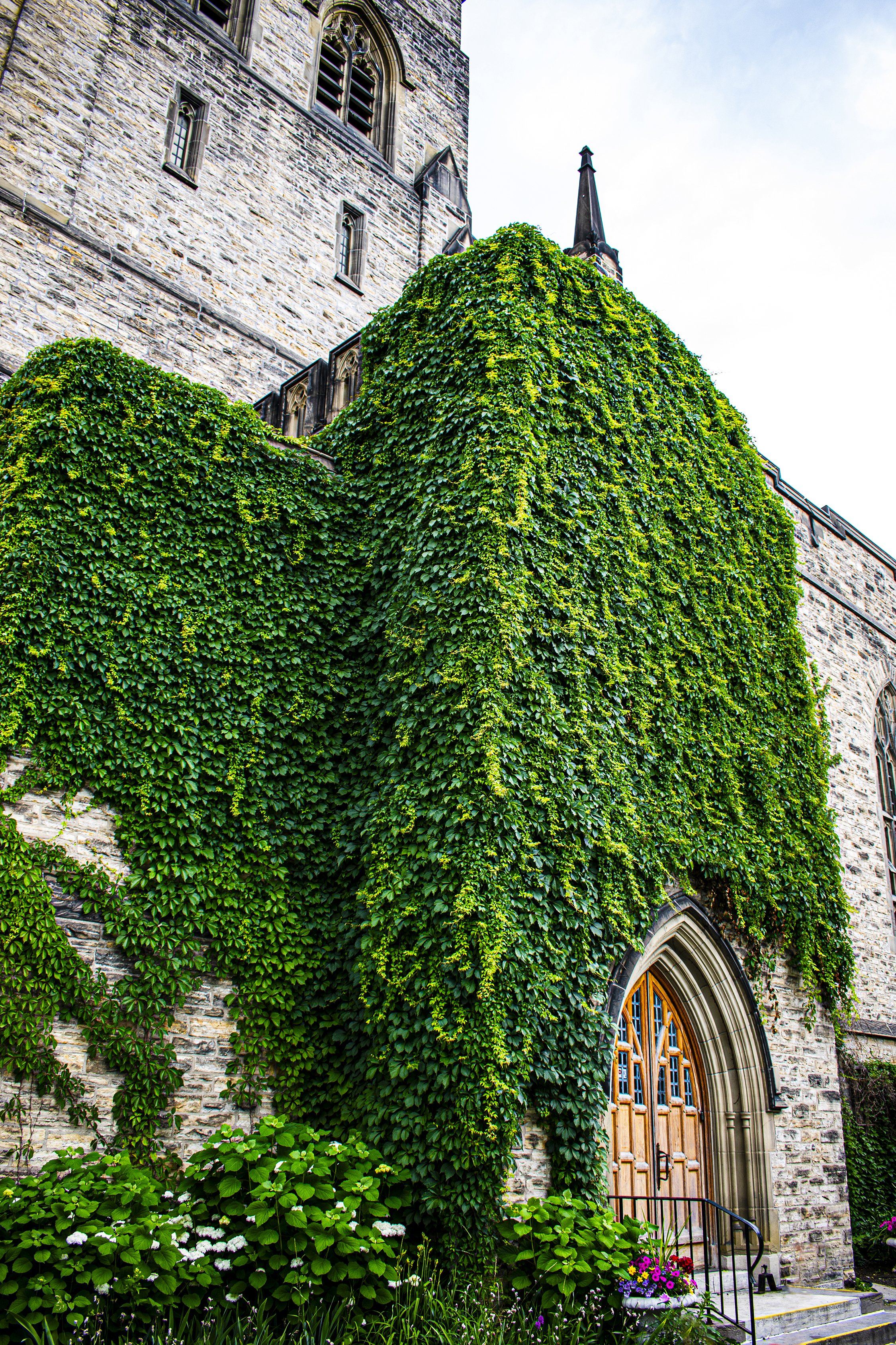 church-ivy.jpg