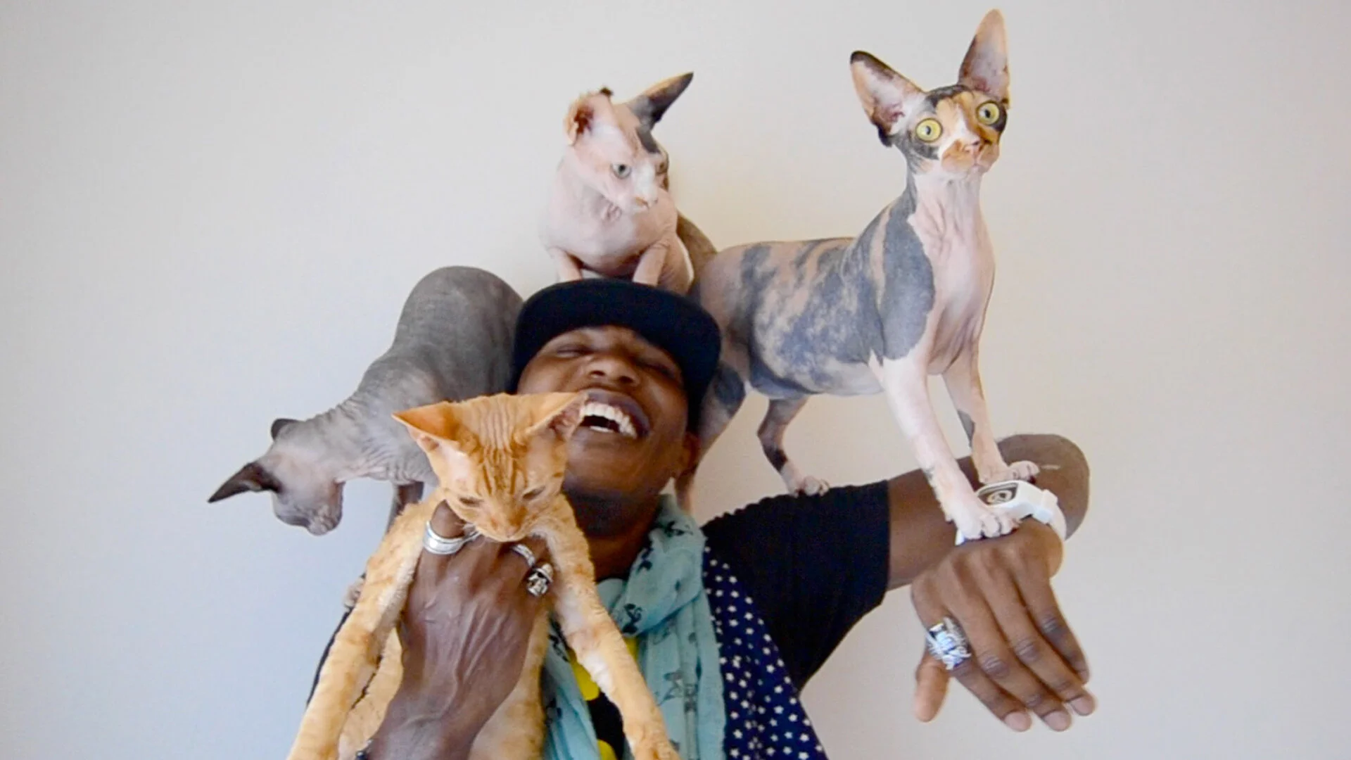 rapper-cat-3-today-161019-tease_1ac110f39540f5dda0e9533b4f943043.jpg