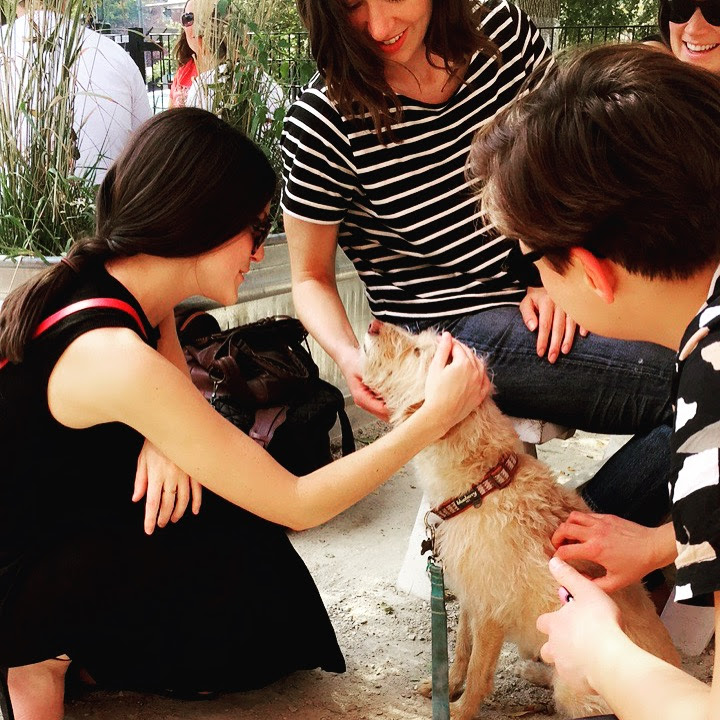 The Best Dog Friendly Bars and Restaurants in Chicago