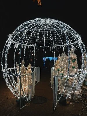 Lincoln Park Zoo Lights