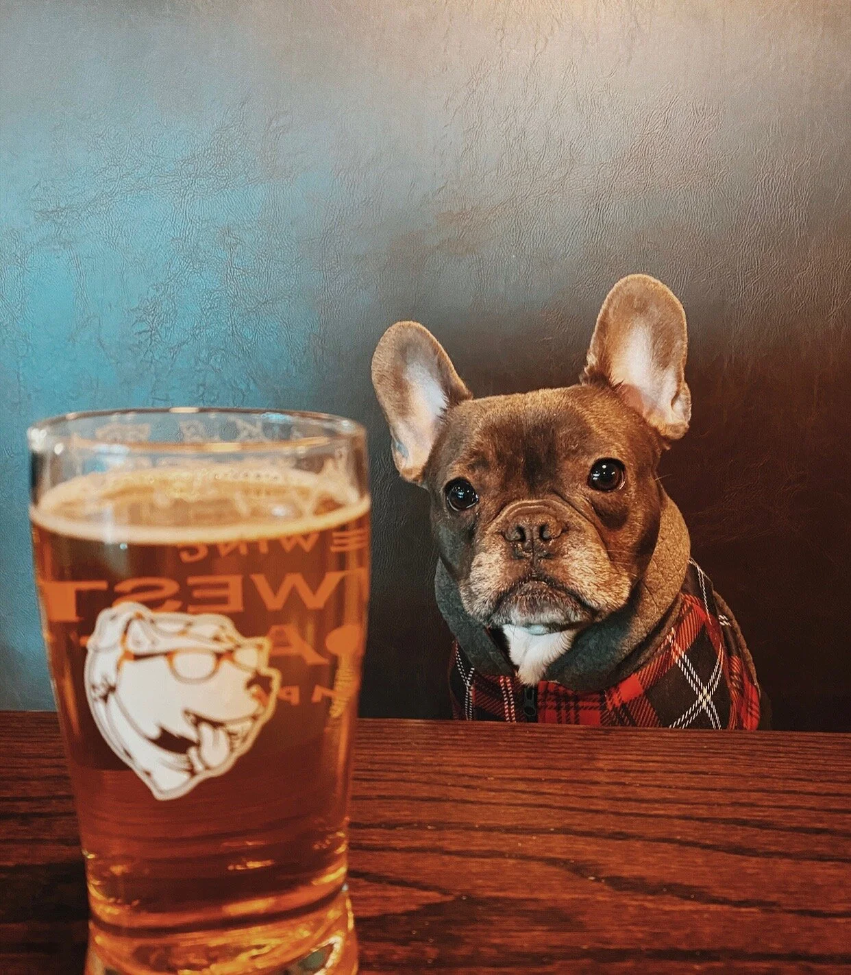 Midwest Coast Brewery