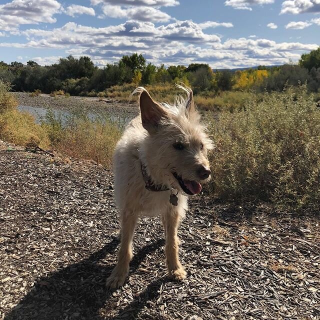 Nature! 🌲 
Teek modeling some of Colorado&rsquo;s finest #earthdayvibes #happyearthday
