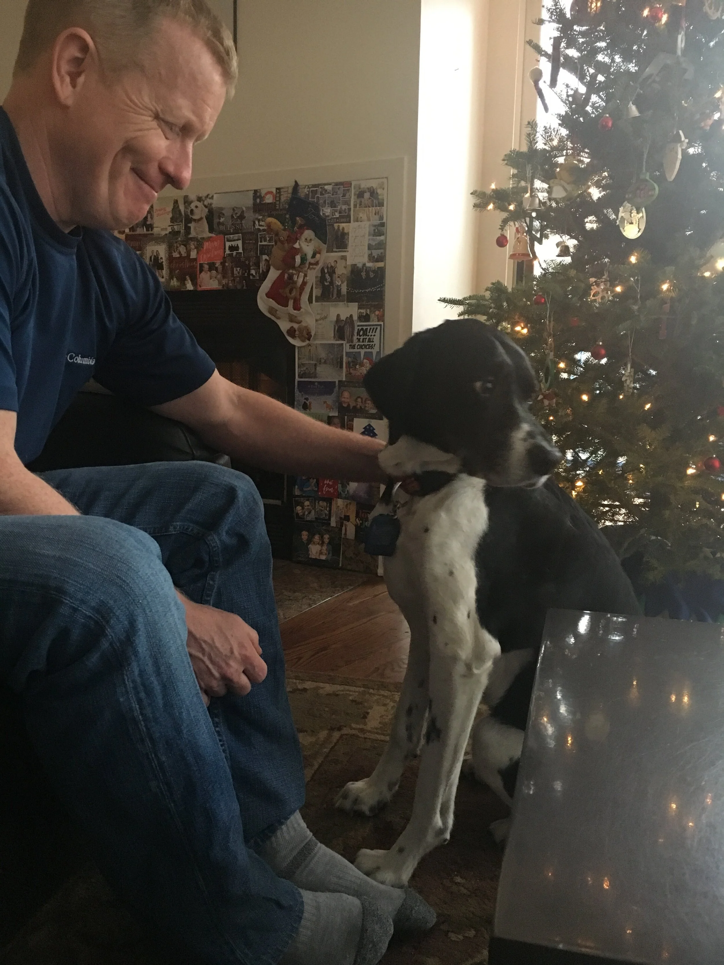 Doyle must think he sees a present for himself under the tree_Tom looking him with just pure love.JPG
