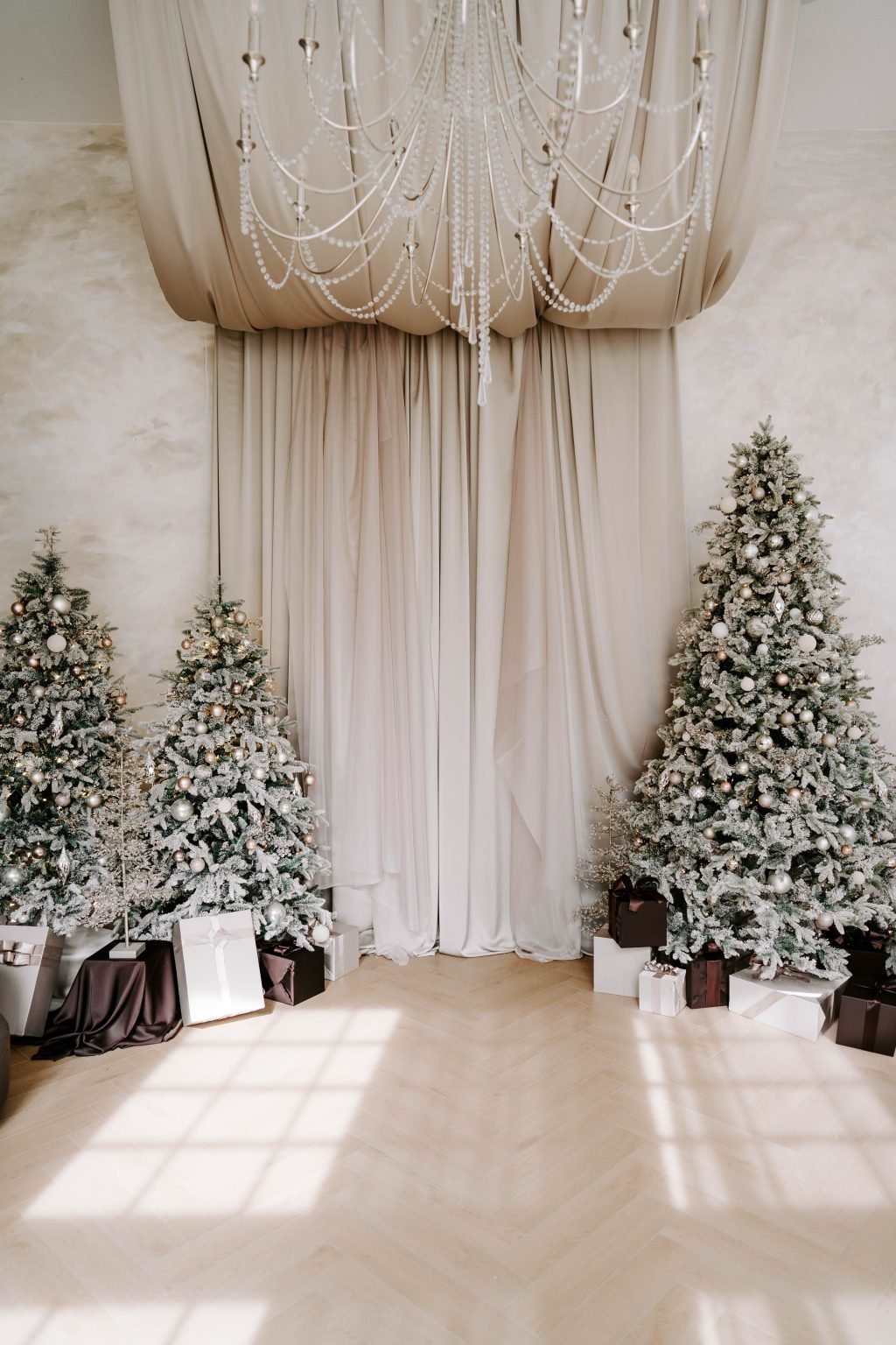 Oak Atelier Christmas Mini Sessions- Coco and Cashmere