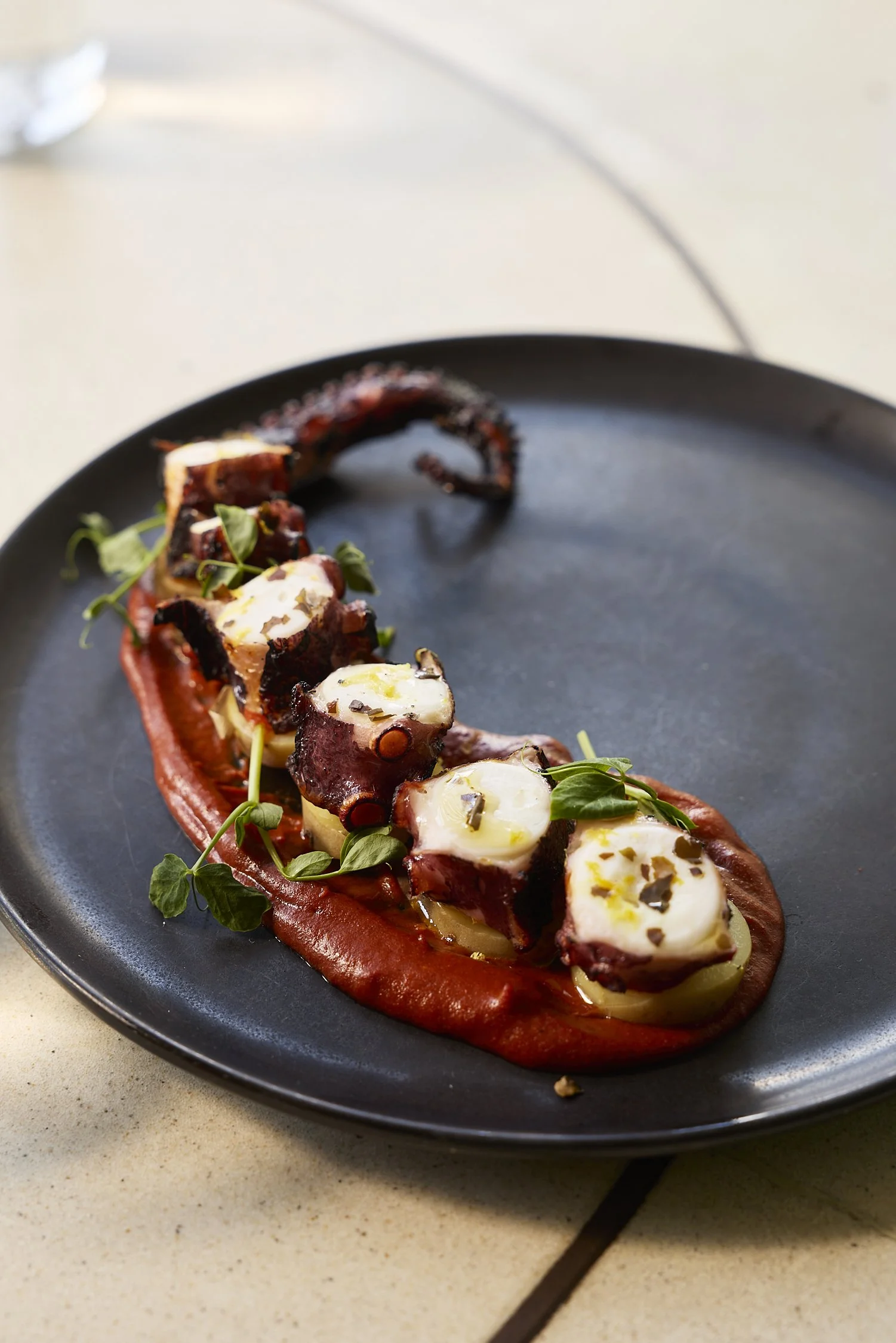 Close-up of a black plate featuring grilled octopus tentacles garnished with fresh herbs, served on a smear of red sauce, on a white countertop.