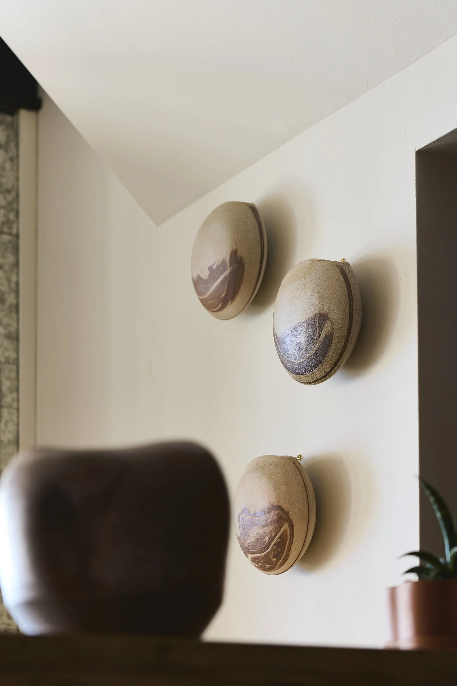 Close-up view of decorative oval wall art with natural patterns, mounted on a white wall, seen through a blurry foreground object.