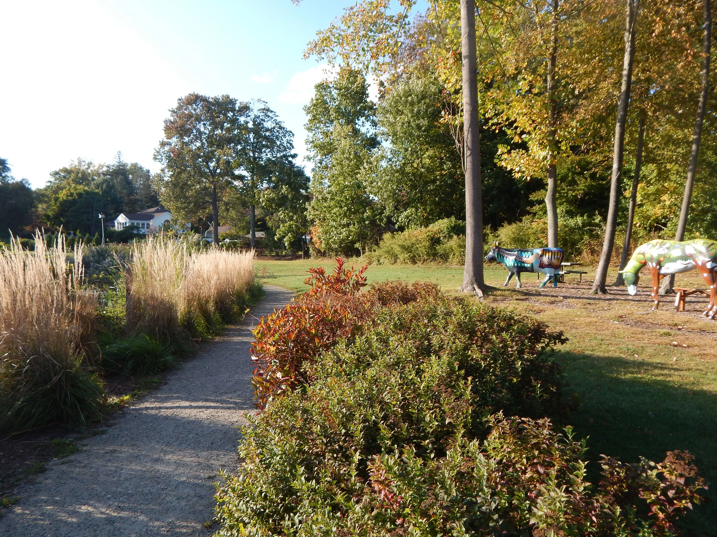 DSCN2505-w.jpg