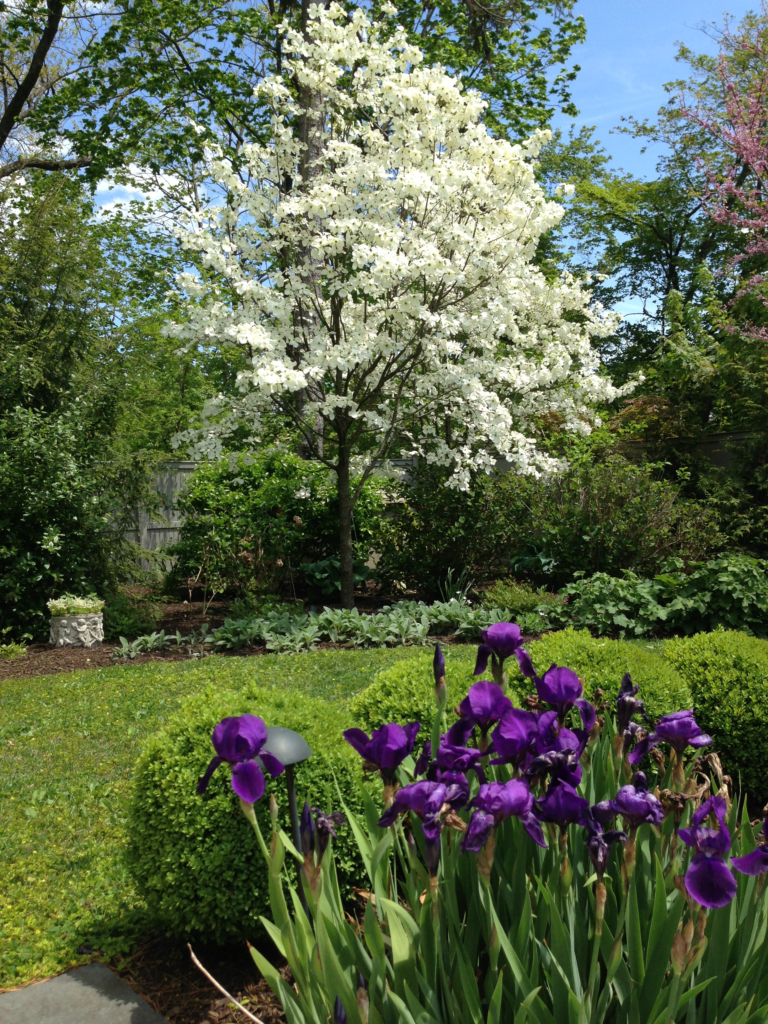 16.5 Early Spring.JPG